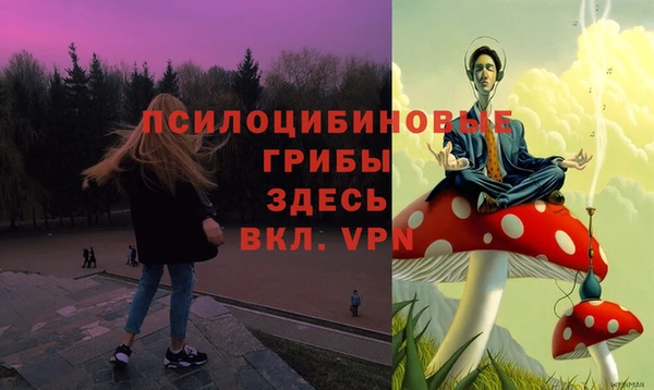 мяу мяу мука Алзамай