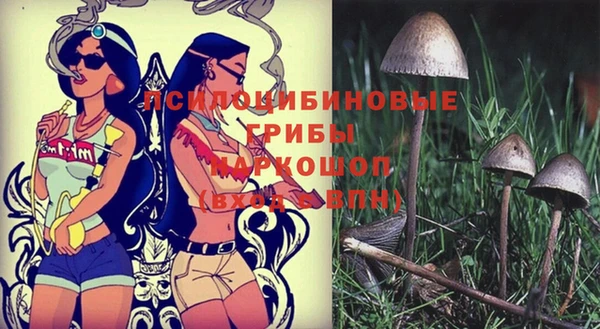 ПСИЛОЦИБИНОВЫЕ ГРИБЫ Алексин