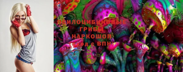 ПСИЛОЦИБИНОВЫЕ ГРИБЫ Алексин