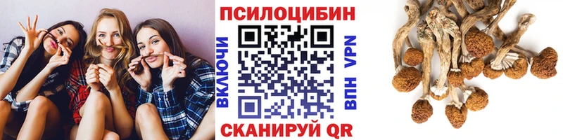 Псилоцибиновые грибы Psilocybine cubensis  Купить где  Ворсма 